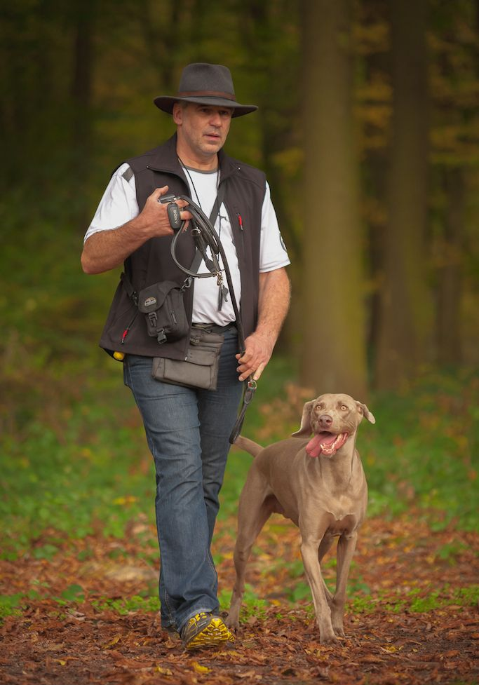 Hundeschule in Lünen und Dortmund Hundeschule AMS in Lünen und Dortmund