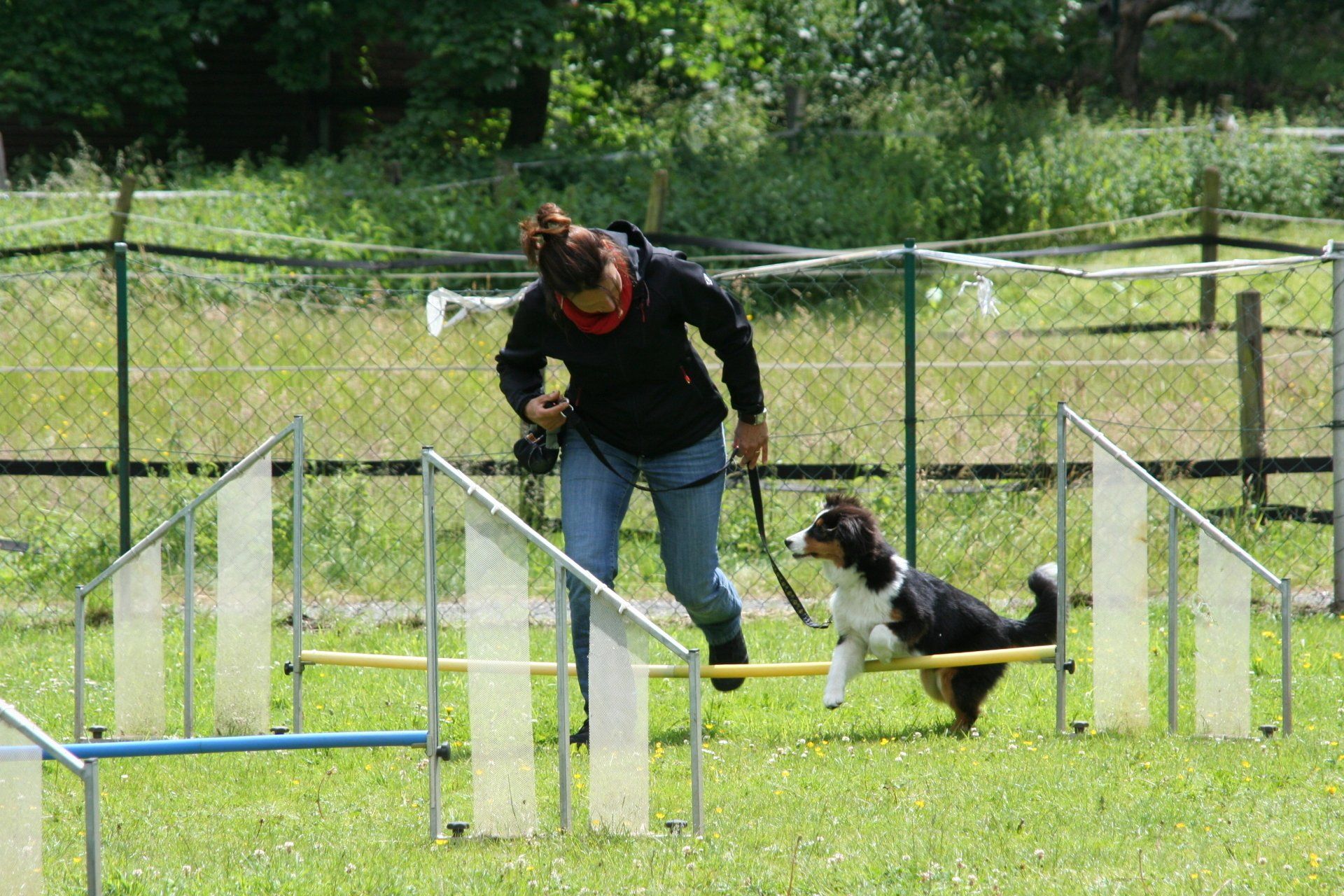 Körpersignal - Wir-gehen-los Hundeausbildung nach der Methode Anton Fichtlmeier