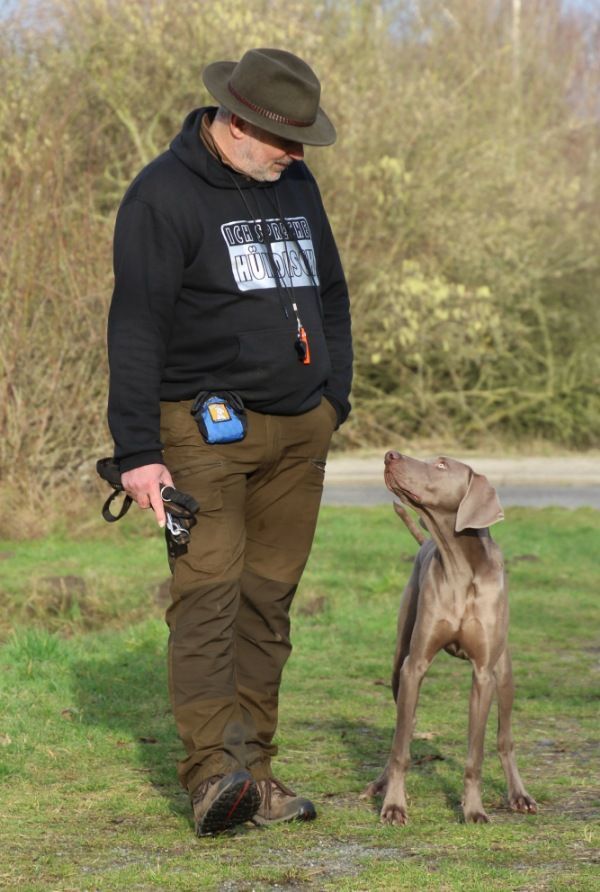 Hundeschule in Lünen und Dortmund Hundeschule AMS in Lünen und Dortmund