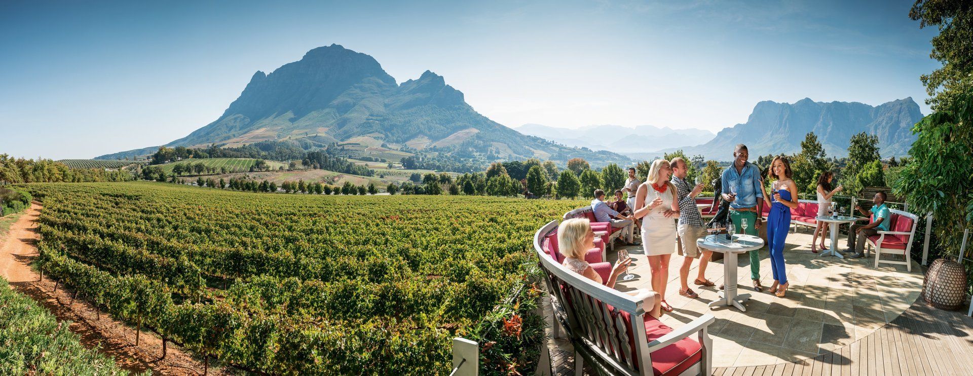 Wine. Tasting.