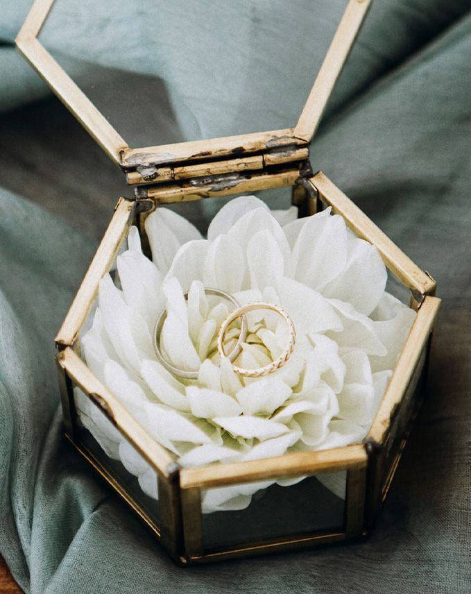 Ja sagen - warum nur einmal? Ja sagen - warum nur einmal?