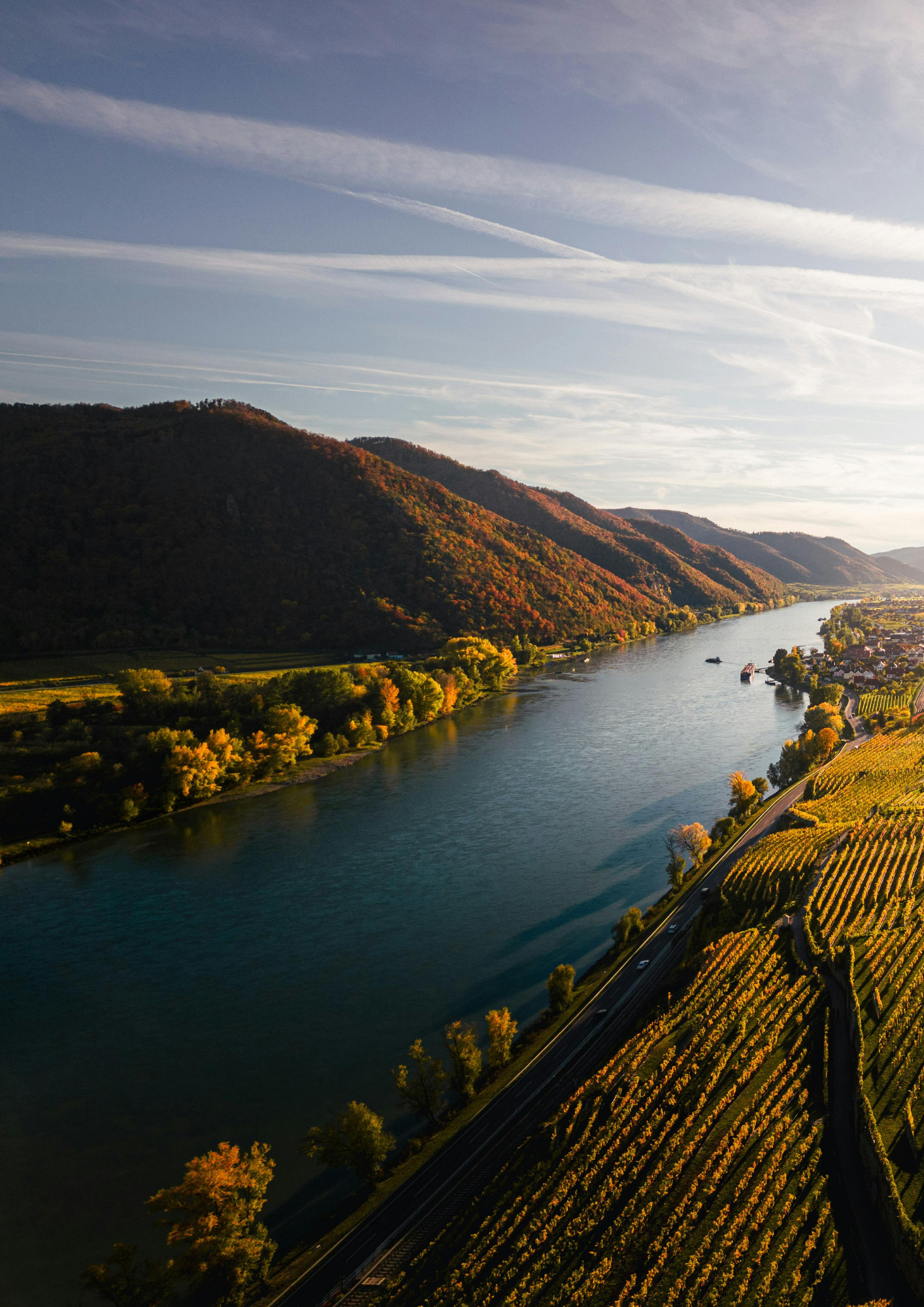 A river, surrounded by vineyards