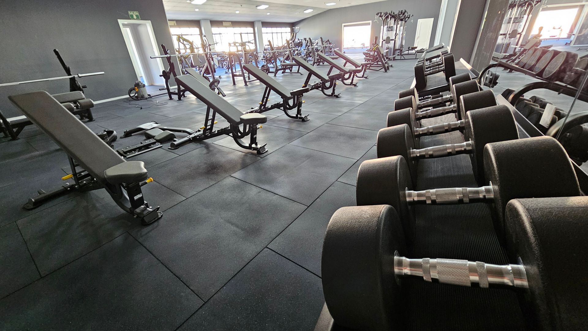 Zona peso libre, mancuernas