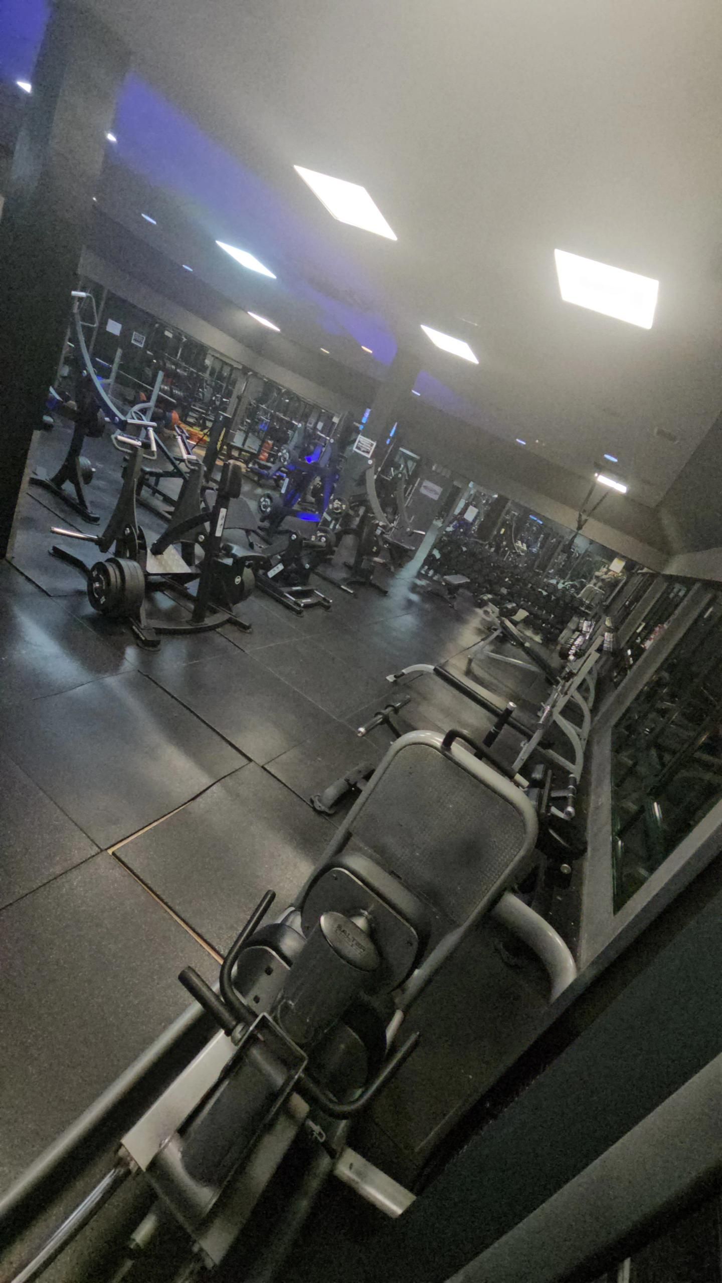 maquinas palanca tipo hammer