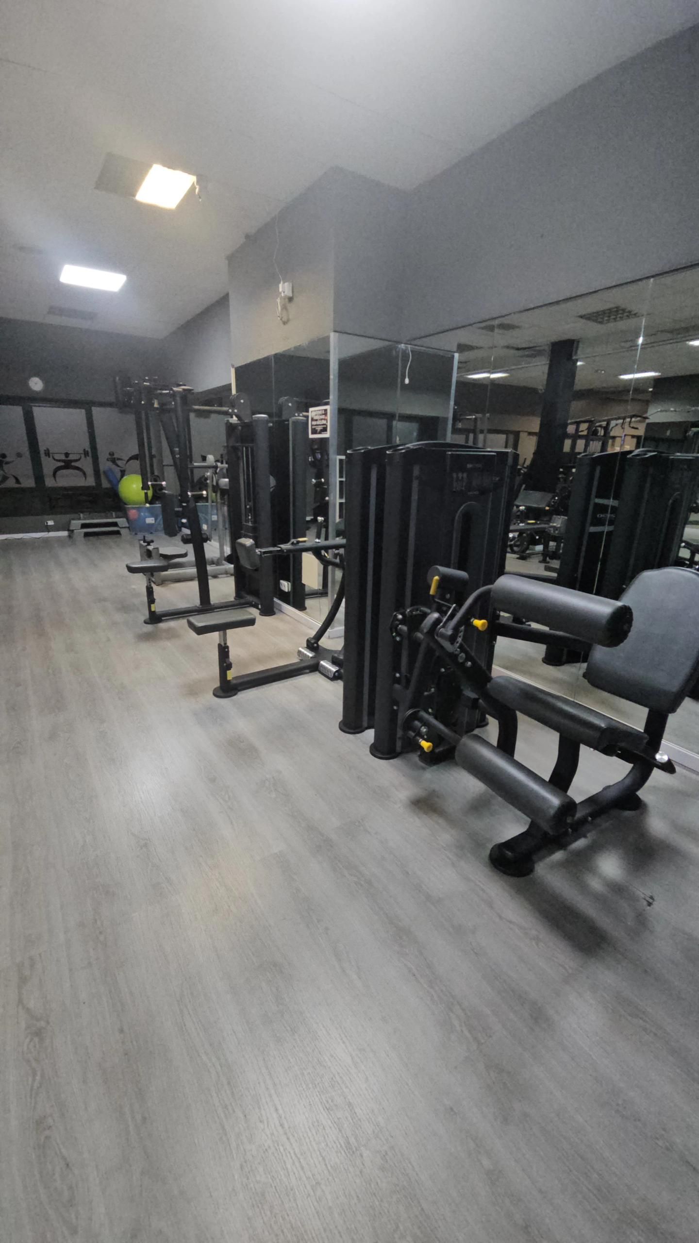 zona maquinas guiadas, femoral, peso muerto