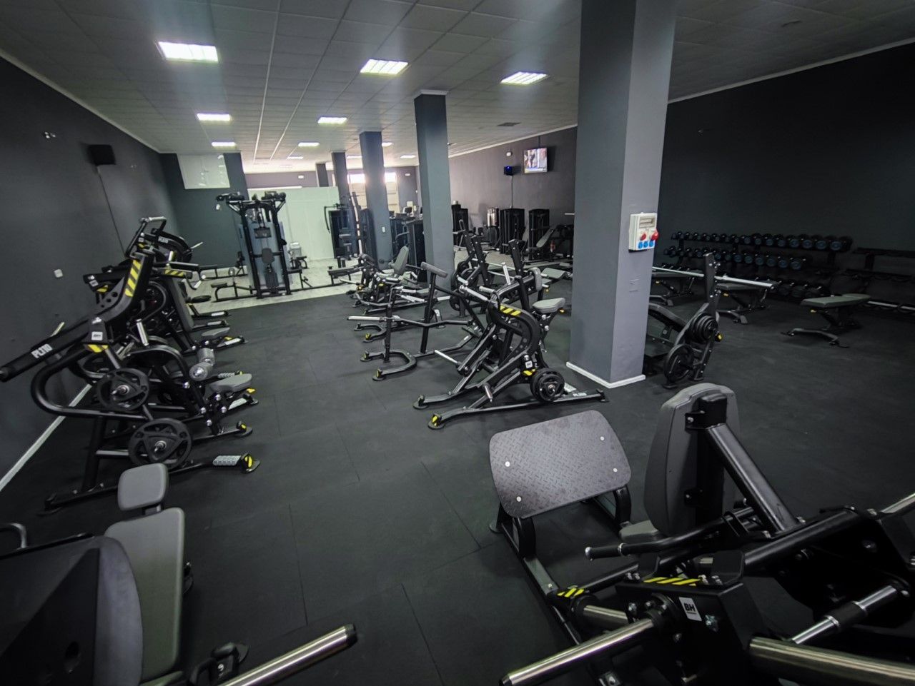 zona peso libre, carga de discos, hammer