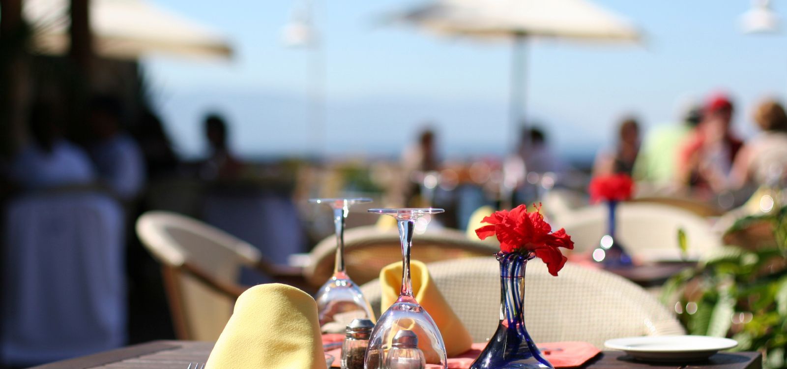 Gastronomisch lässt auch unser Stadtteil keine Wünsche offen – in Umkreis von 1 bzw. 2 Kilometern befinden sich ein exquisites Fisch- und ein bekanntes Wildrestaurant. Viele gemütlichen Restaurants laden zum Genießen und Verweilen ein. Die Küchenzeiten viele Betriebe sind so gehalten, dass genügend Freiraum für die Gestaltung Ihres individuellen Freizeitprogrammes bleibt. Schöne Zeit bei uns und allzeit guten Appetit! Ihre Gastgeber apartment-am-airport Hamburg