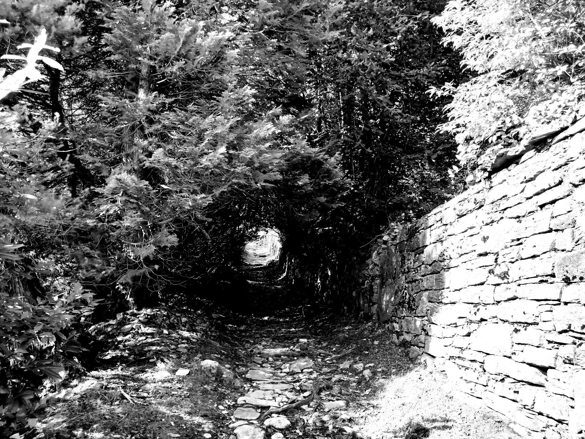 Licht am Ende des Tunnels