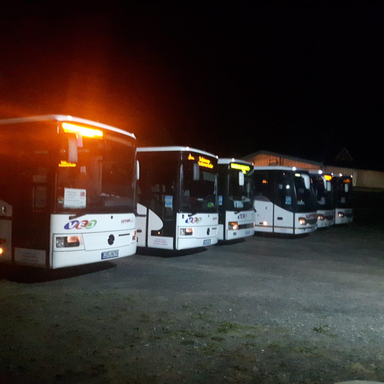 Einige der Linienbusse