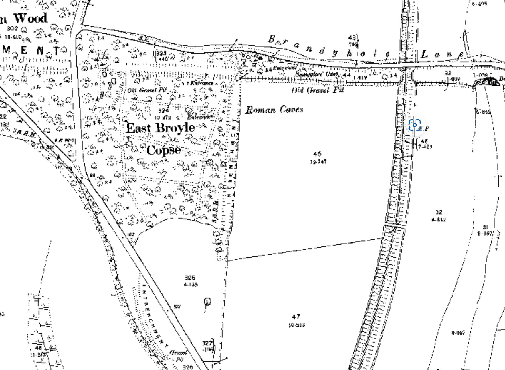 Map of Brandy Hole Copse circa 1898.