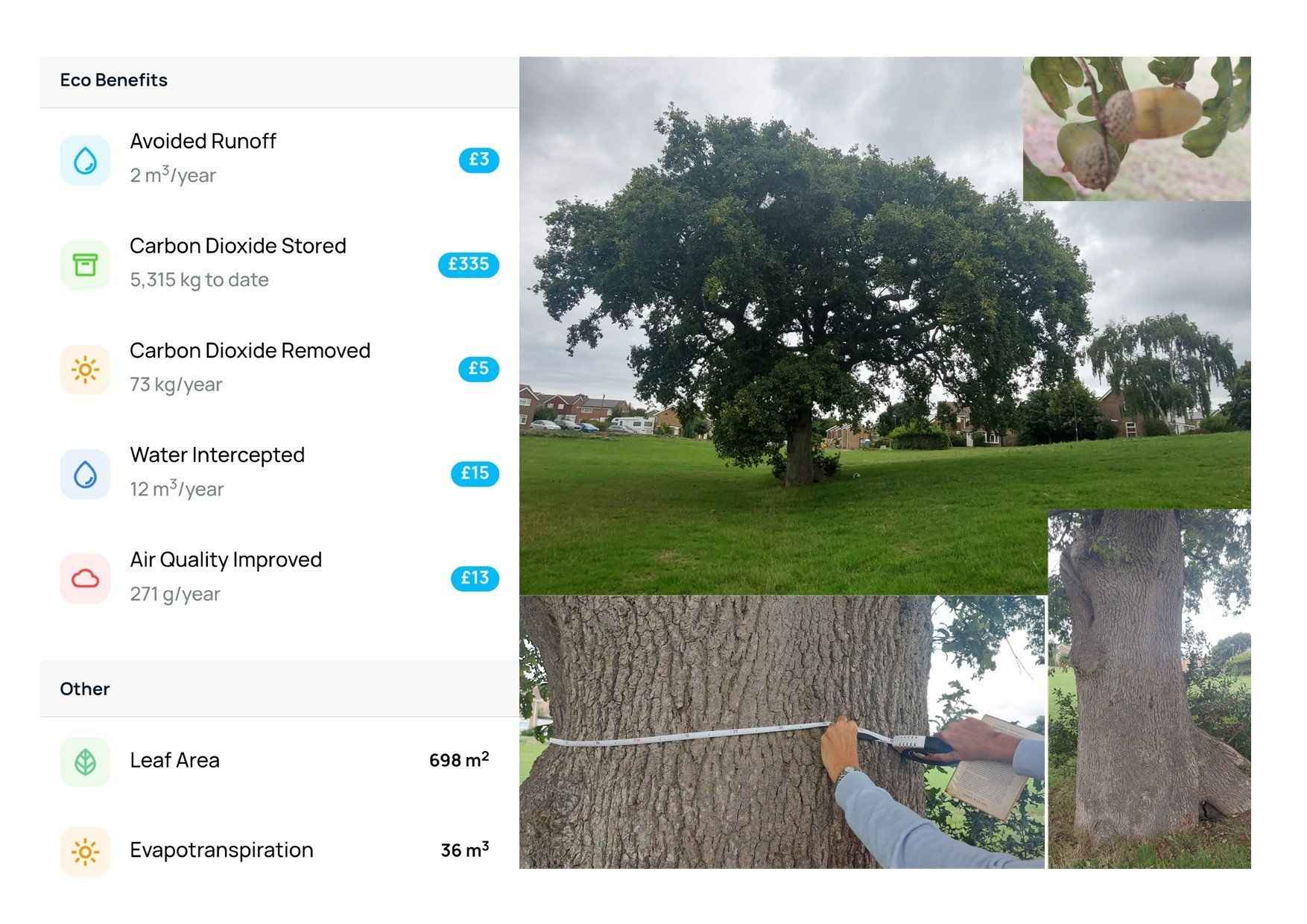 Click here to see this record on Treezilla