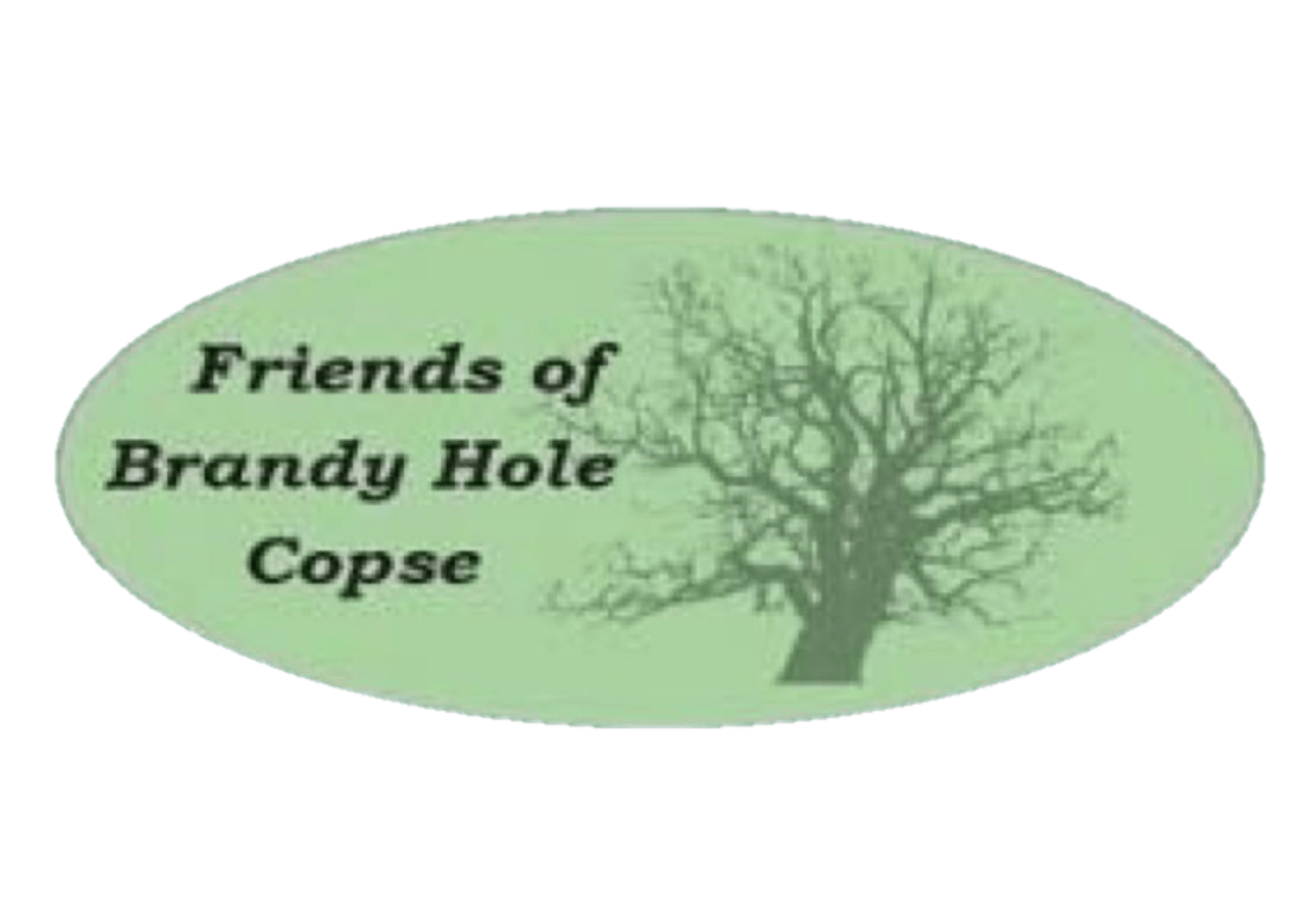 Friends of Brandy Hole Copse logo - words on pale green oval background with silhouette of a tree without leaves