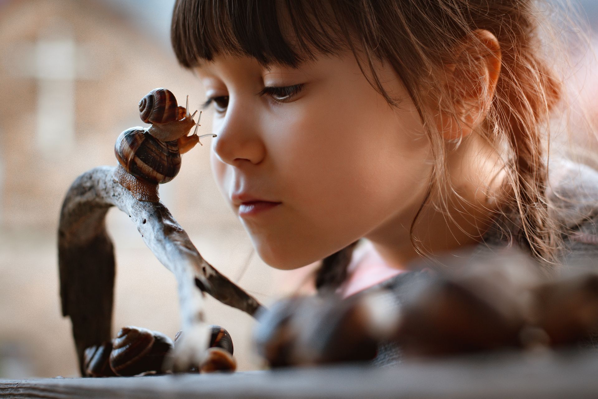 Kleines Mädchen beobachtet eine Schnecke