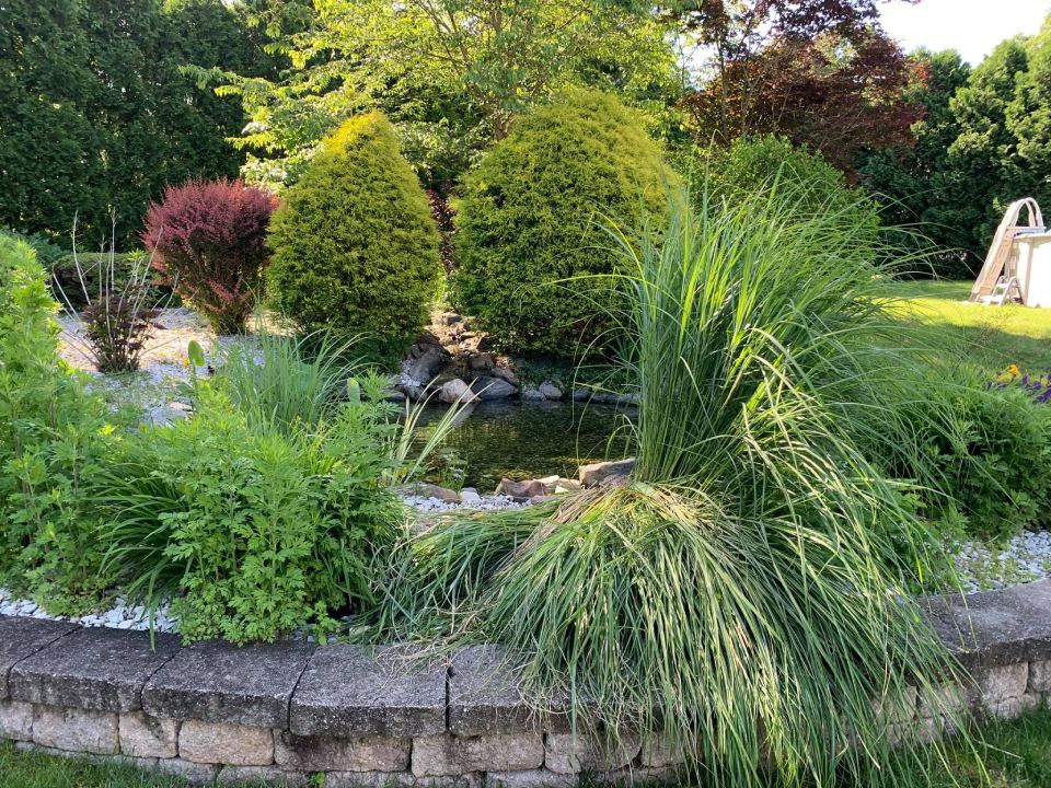 before image of weeding