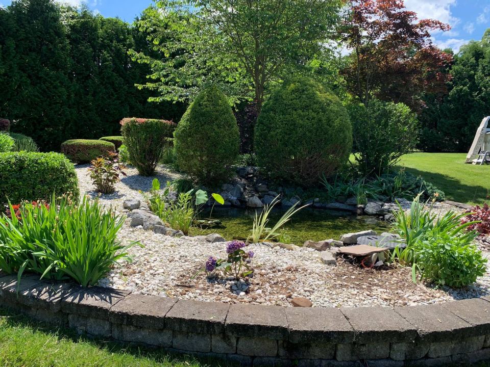 after image of weeding