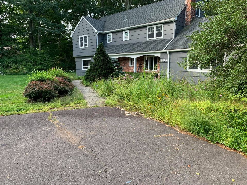 before image of lanscape maintenance