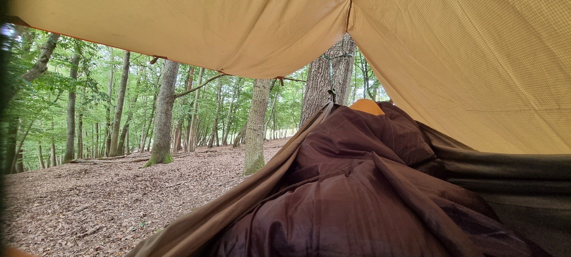 Hängematte mit Tarp