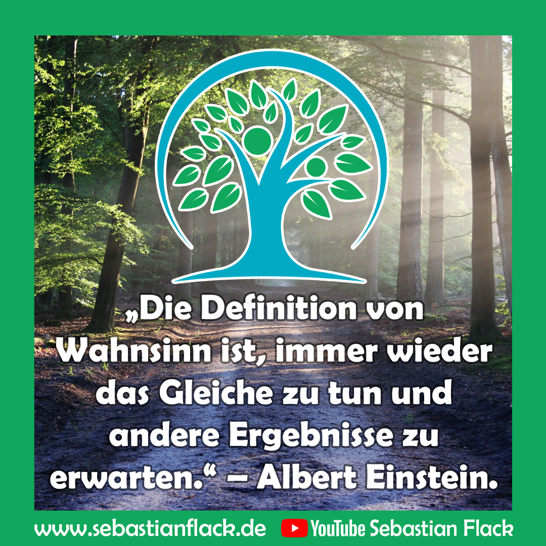 Begründer systemische Beratung Mensch bei der Analyse und systemischer Beratung