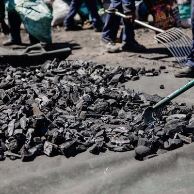 BBQ, Grillkohle, Feuer, Charcoaltrade, Restaurant, Holzkohle, Gastro, Gastronomie, Großhandel, Black Wattle, Südafrika