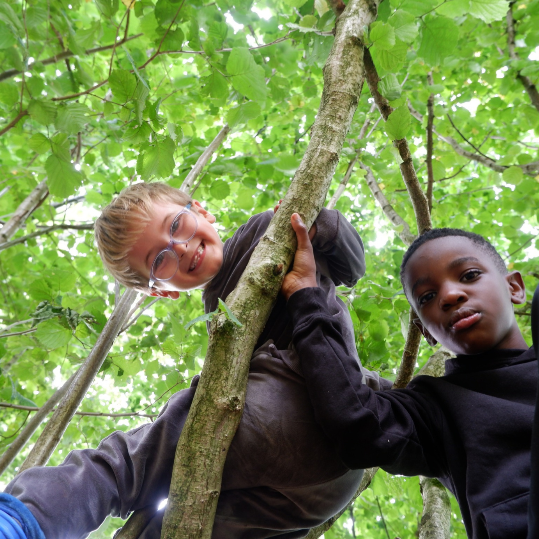 Two children looking down from a tree