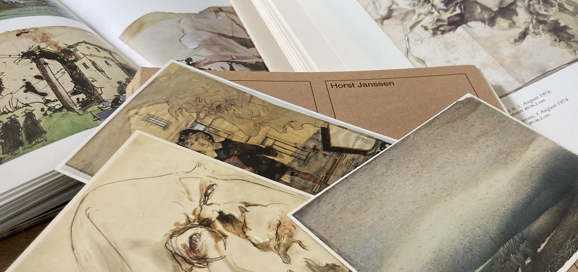 Horst Janssen Bücher, typische Motive Blüten, Landschaft, Portrait