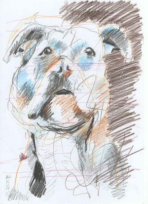 Hundezeichnung Bleistift und Buntstift Frontalansicht brauner Hintergrund