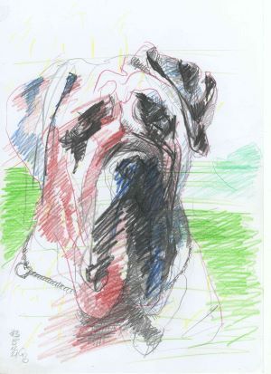 Hundezeichnung Bleistift und Buntstift Frontalansicht grüner und blauer Hintergrund