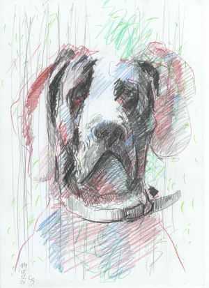 Hundezeichnung Bleistift und Buntstift Frontalansicht grüner Hintergrund