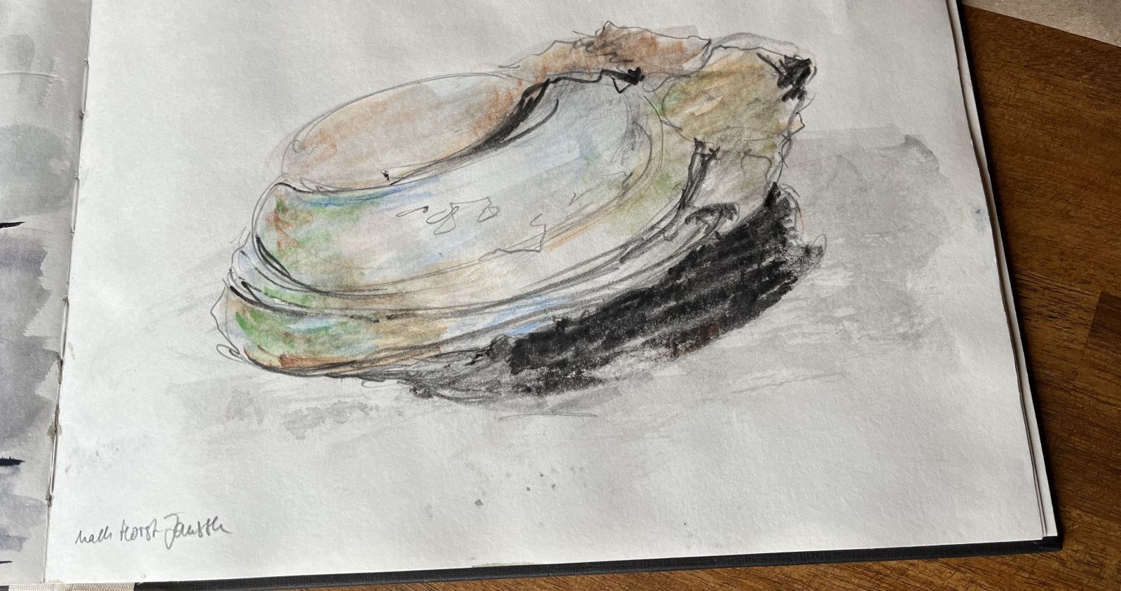 Bilder aus meinem Skizzenbuch. „Kopien“ nach Horst Janssen - Lernen durch Nachahmen.