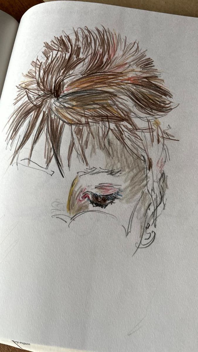 Bilder aus meinem Skizzenbuch. „Kopien“ nach Horst Janssen - Lernen durch Nachahmen