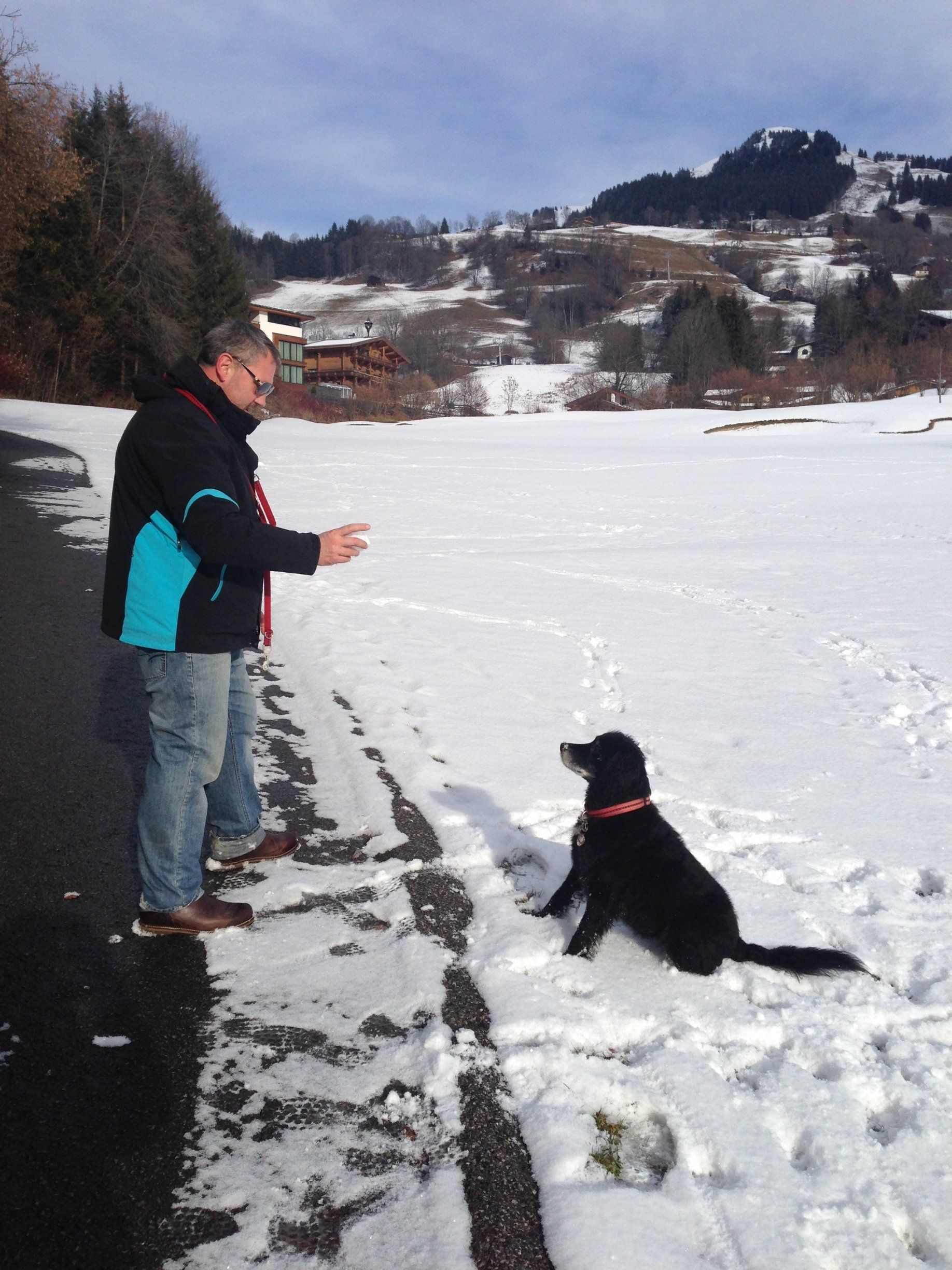 Hundetrainer, Hundetrainerin, Hundeschule, Hundetrainer