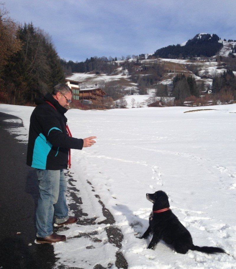 Hundetrainer, Hundeschule