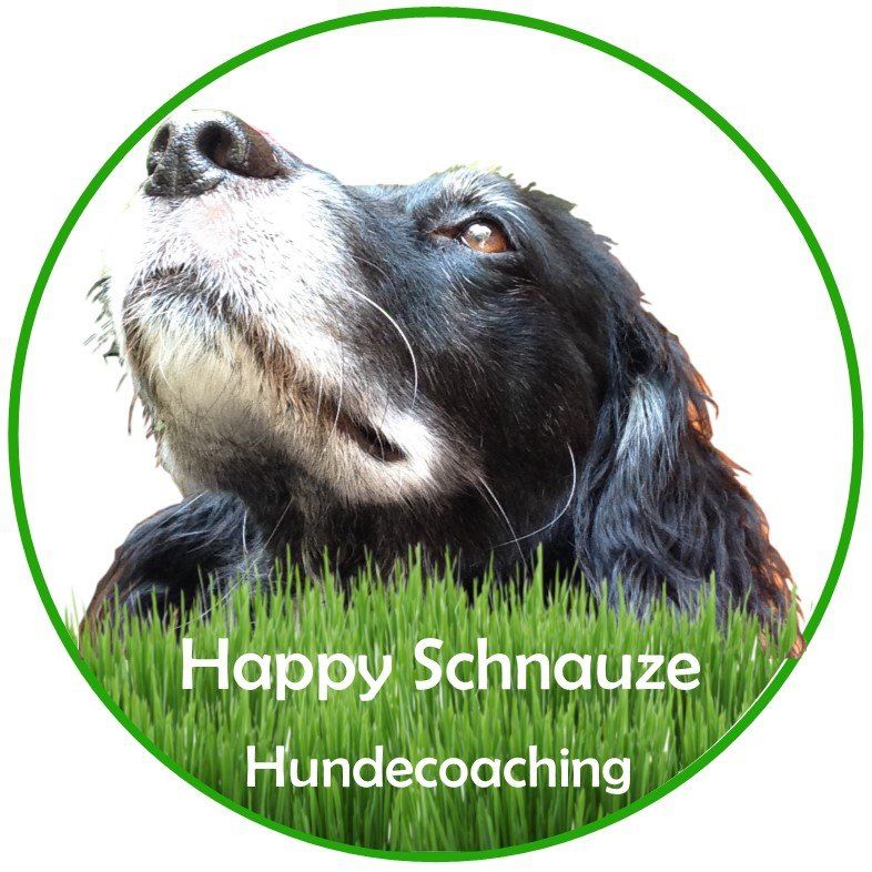 Ihr Hundetrainer vor Ort Hundetrainer, Hundeschule, Ludwigsburg, Stuttgart