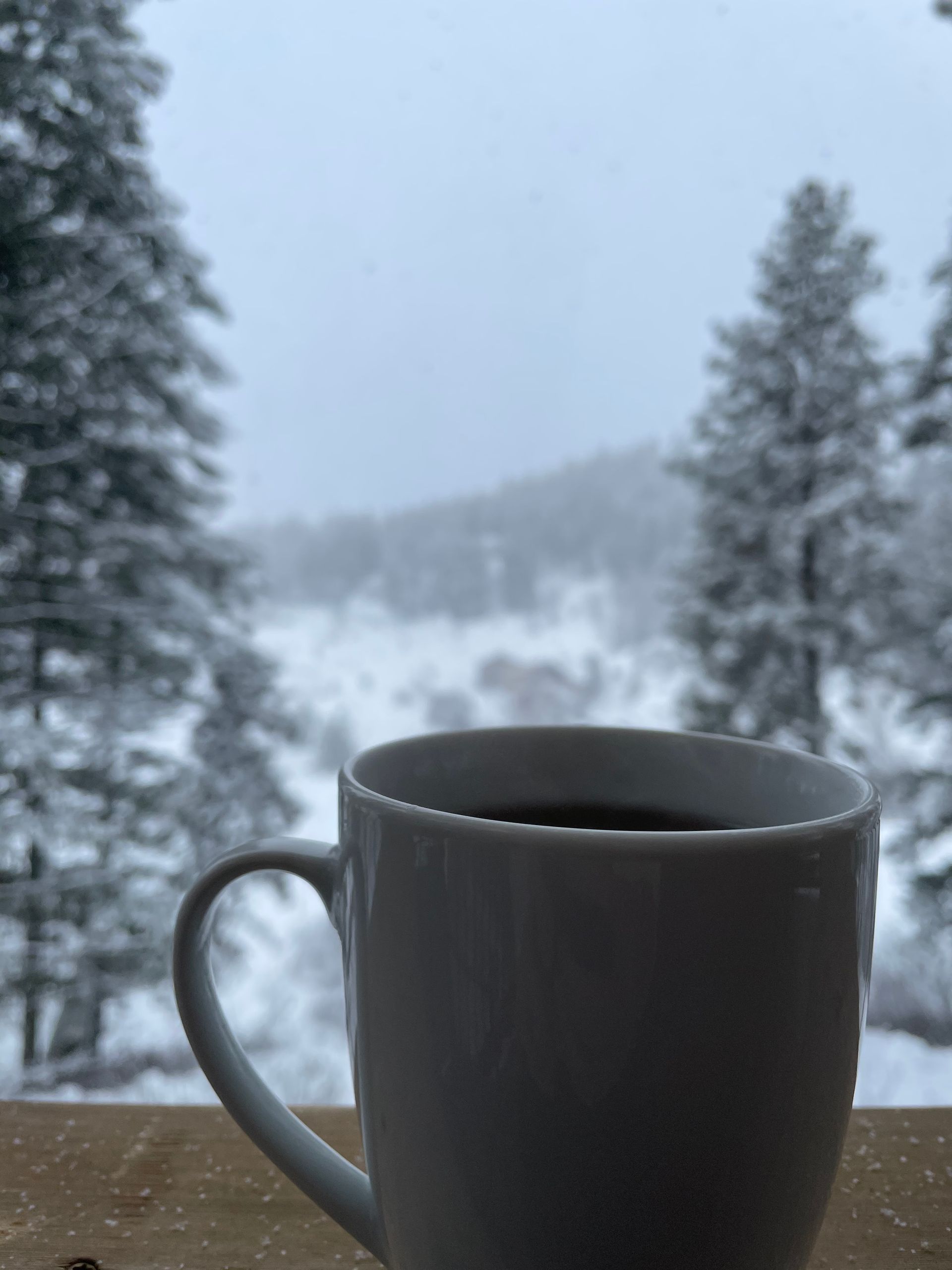 Hot tea and a silent snowy view