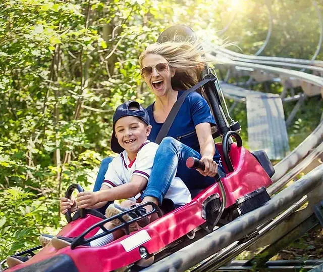 Roller Coaster