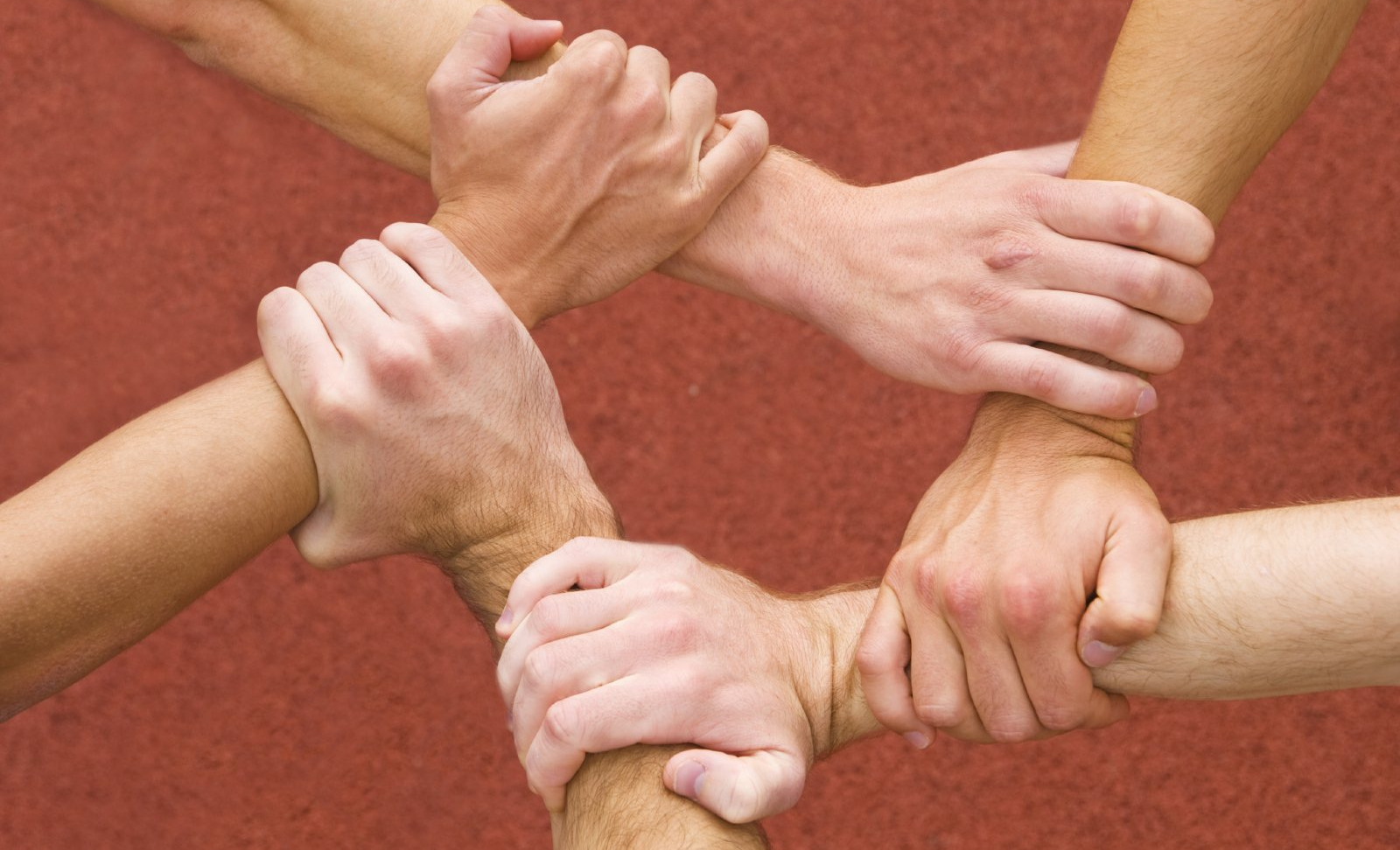 Fortalezas y Trabajo en Equipo