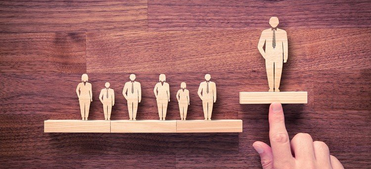 Desarrollo Organizacional