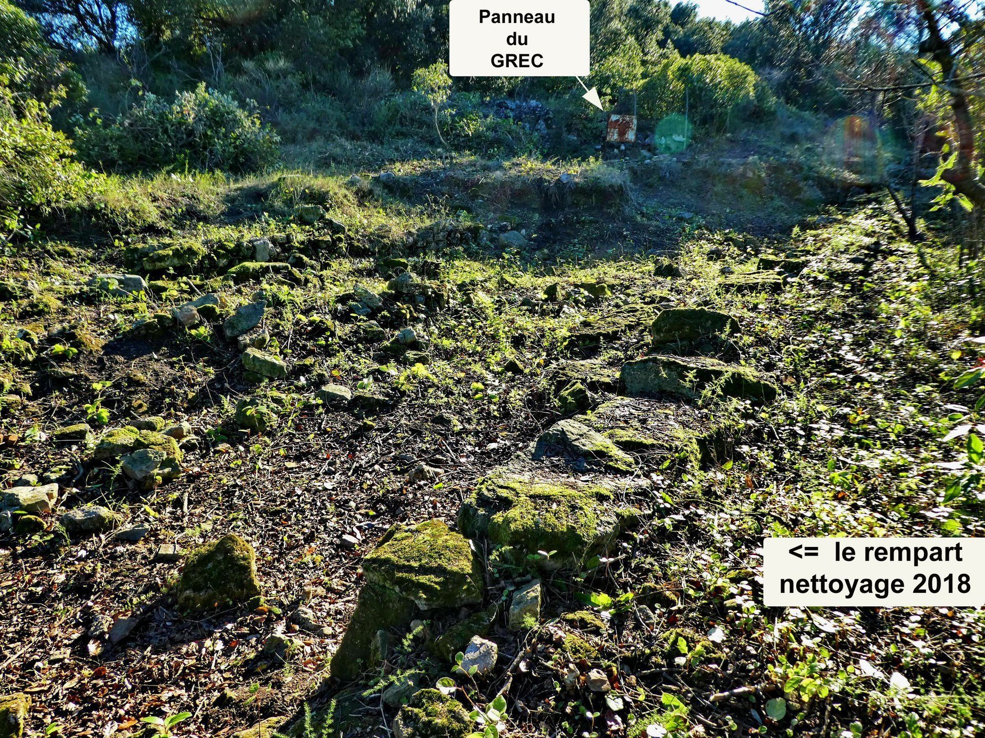 Le site après le premier débroussailage