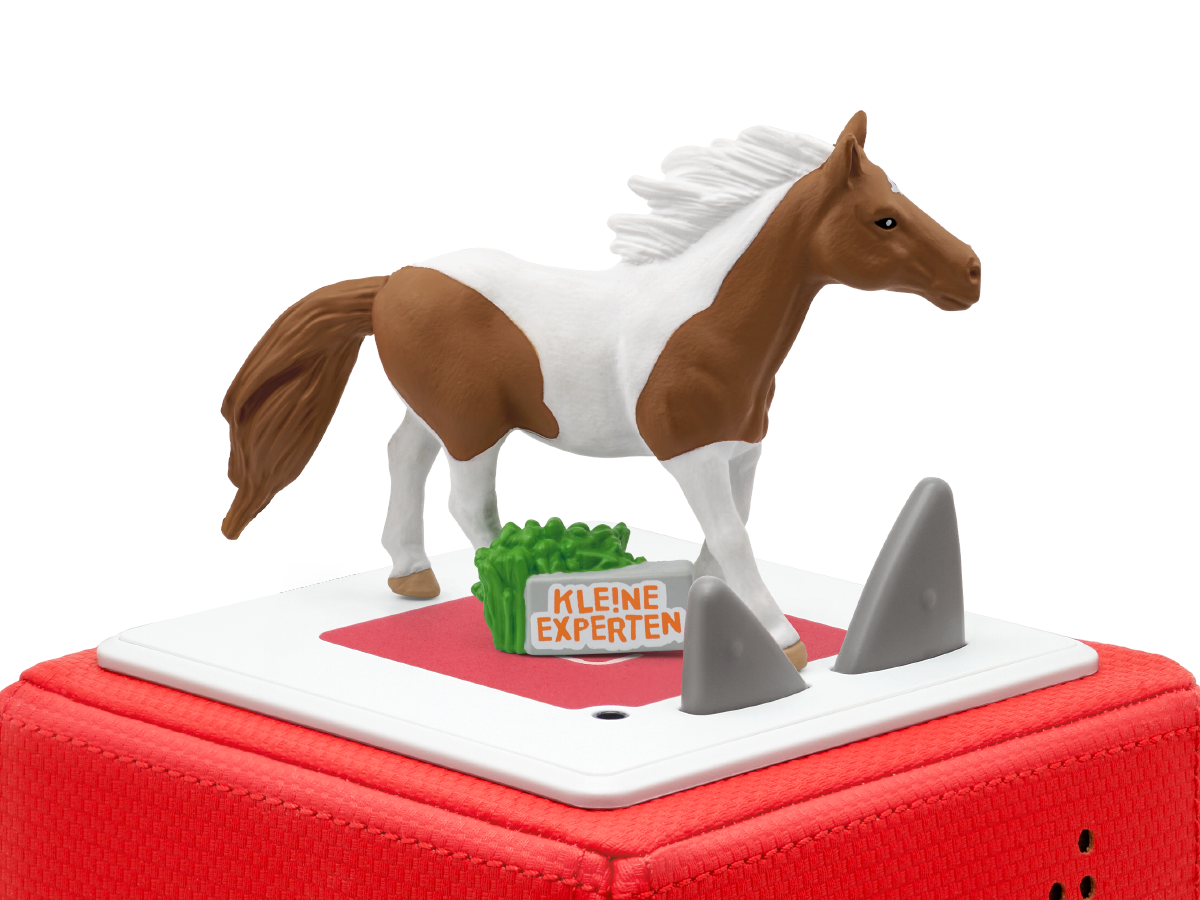 Tonies - kleine Experten - Pferde Autorin für Hörspiele, Hörspielautorin, tonies