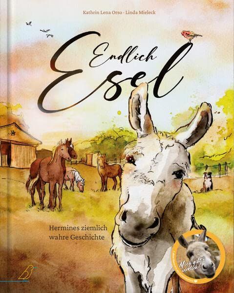 Blubberfisch und flotte Flossen , Ellermann, Vorlesebuch, Kathrin Lena Orso, der kleine Fuchs liest vor, Oetinger, Vorlesen