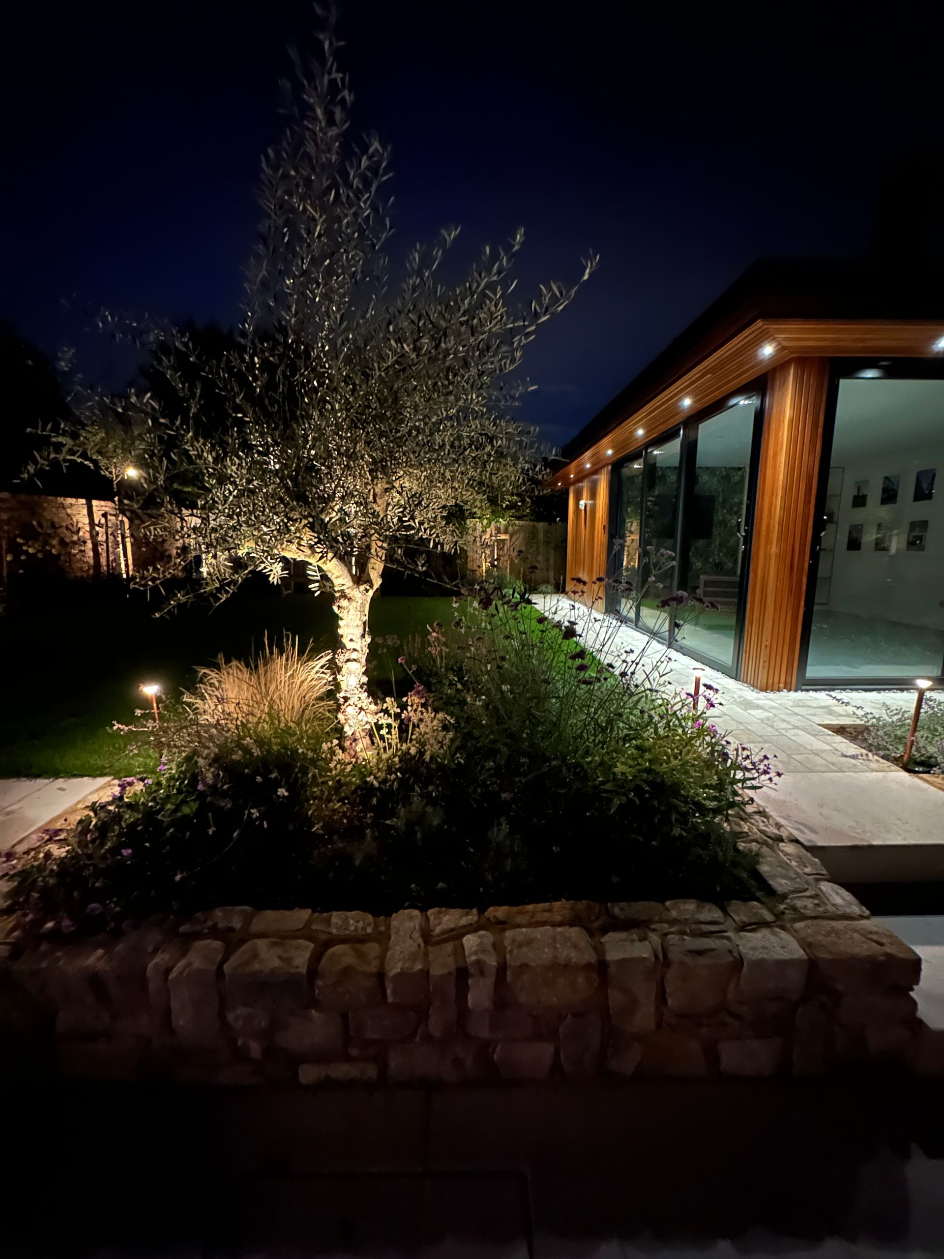 garden lighting around a tree in reigate