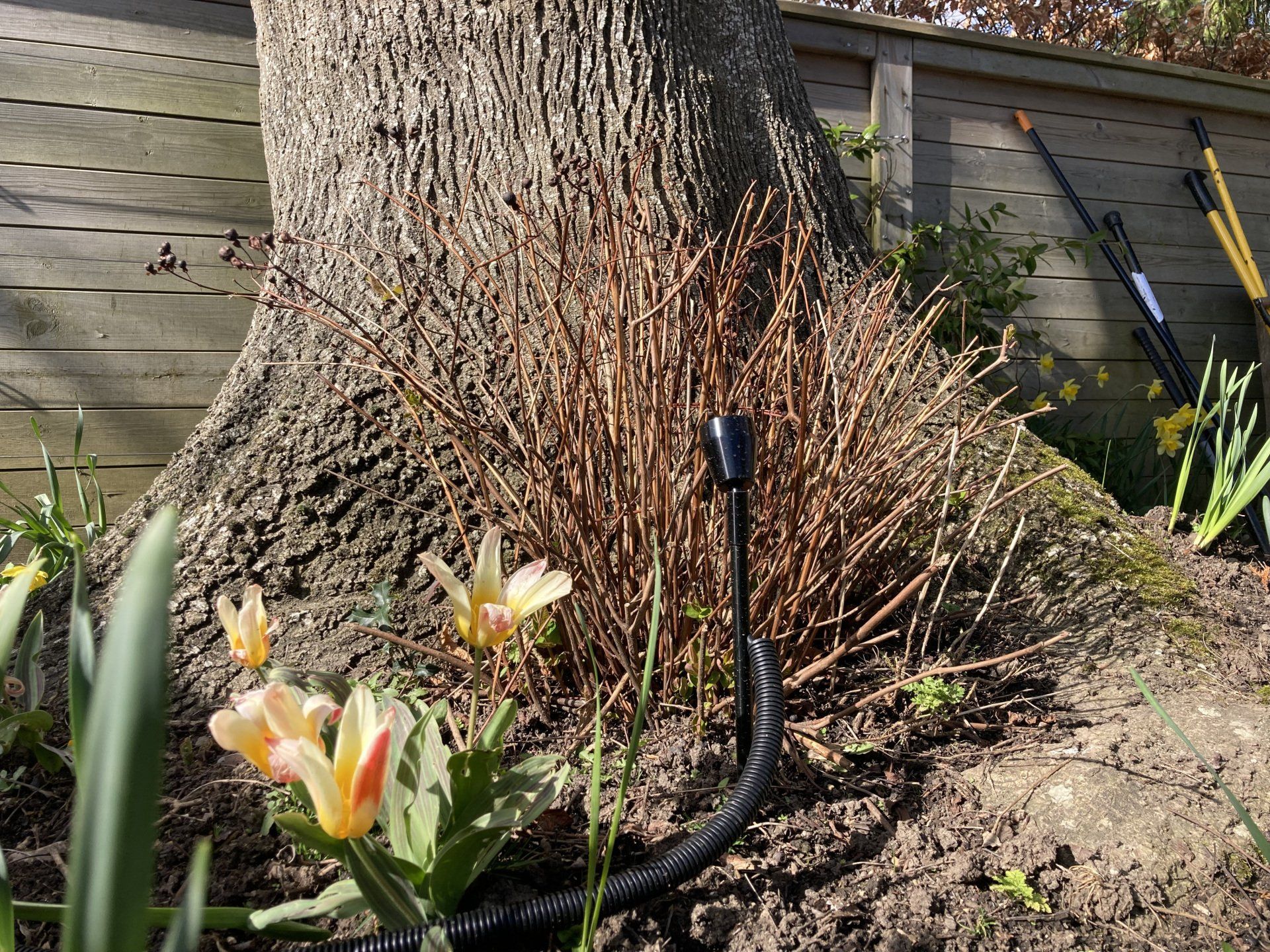 Garden Lighting sussex