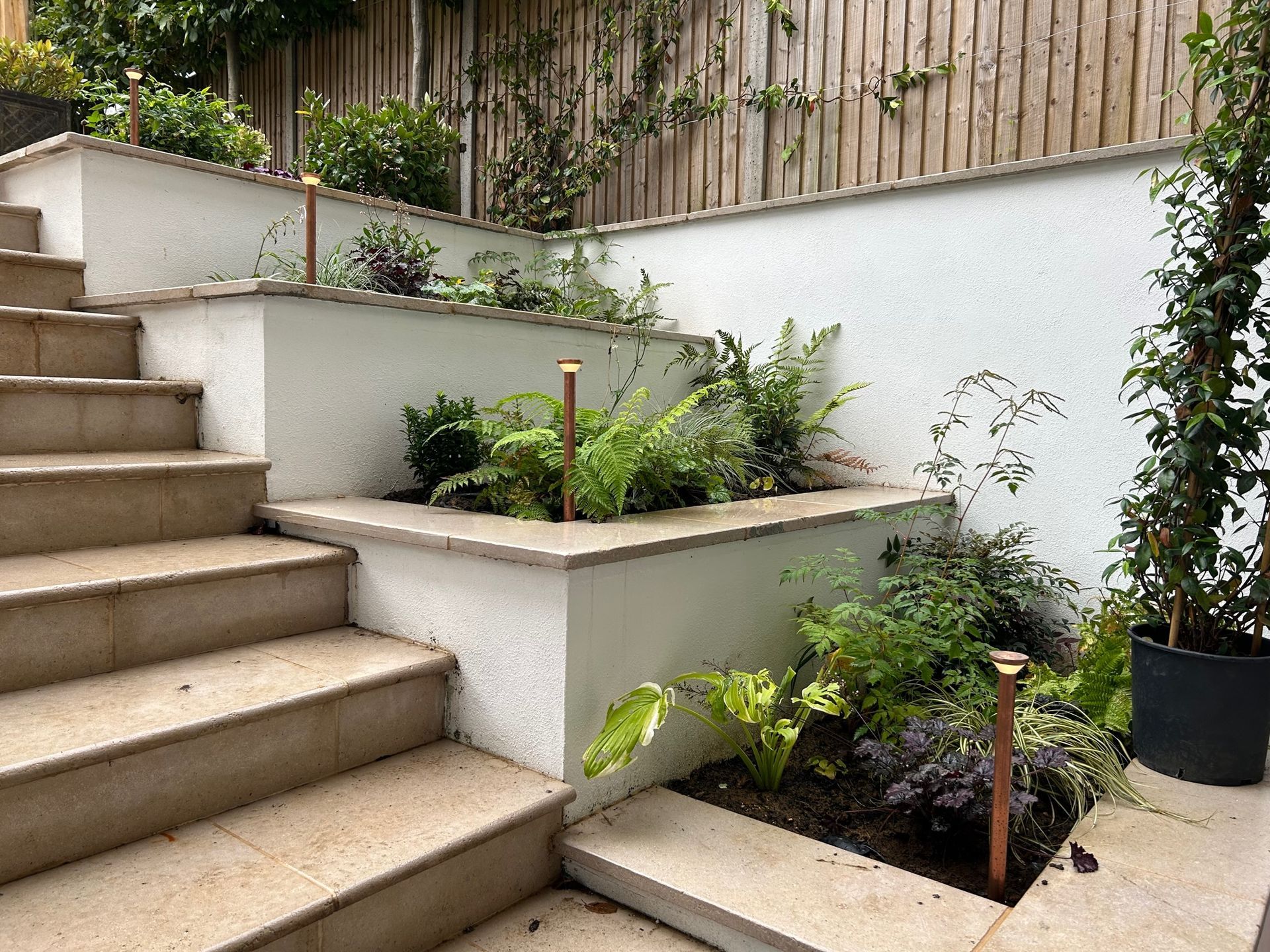 LuxR Led Lighting in a terraced flowerbed design with interesting architectural  planting