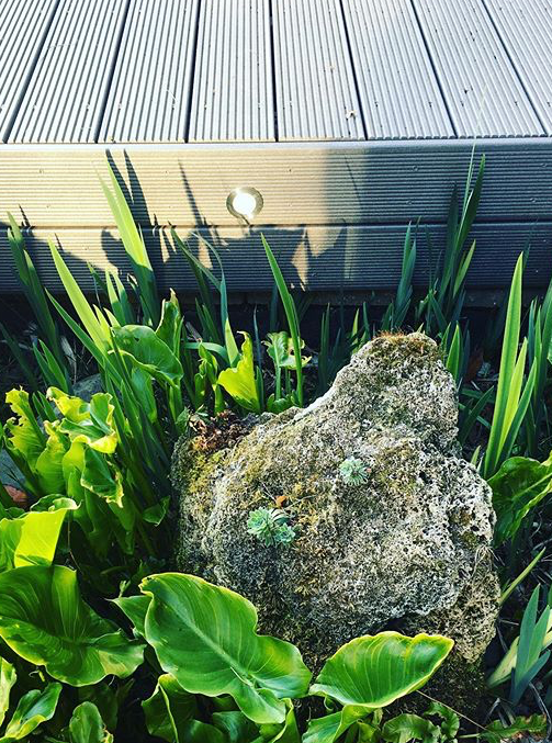 Inbuilt decking lighting in grey composite deck illuminating a rock and irises