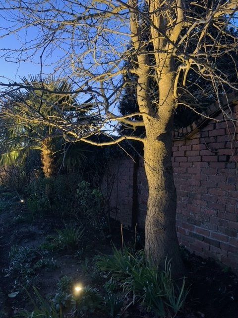 Garden Lighting Design