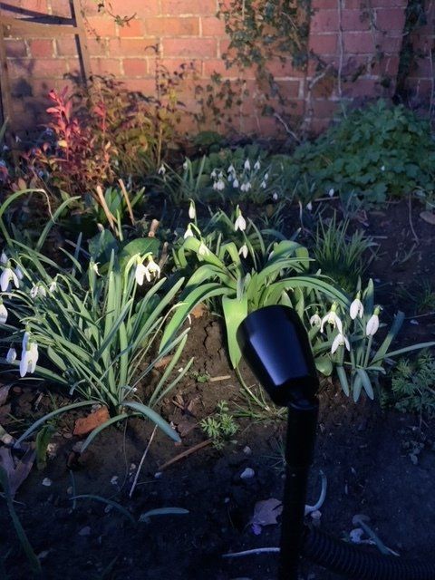 Flower Bed Lighting 