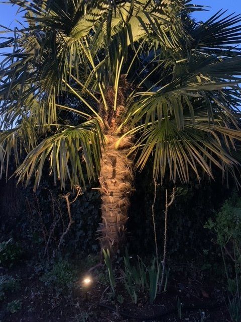 Garden Lighting Design in east grinstead