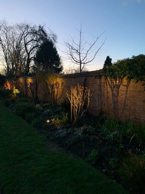 Garden Lighting Design in lingfield