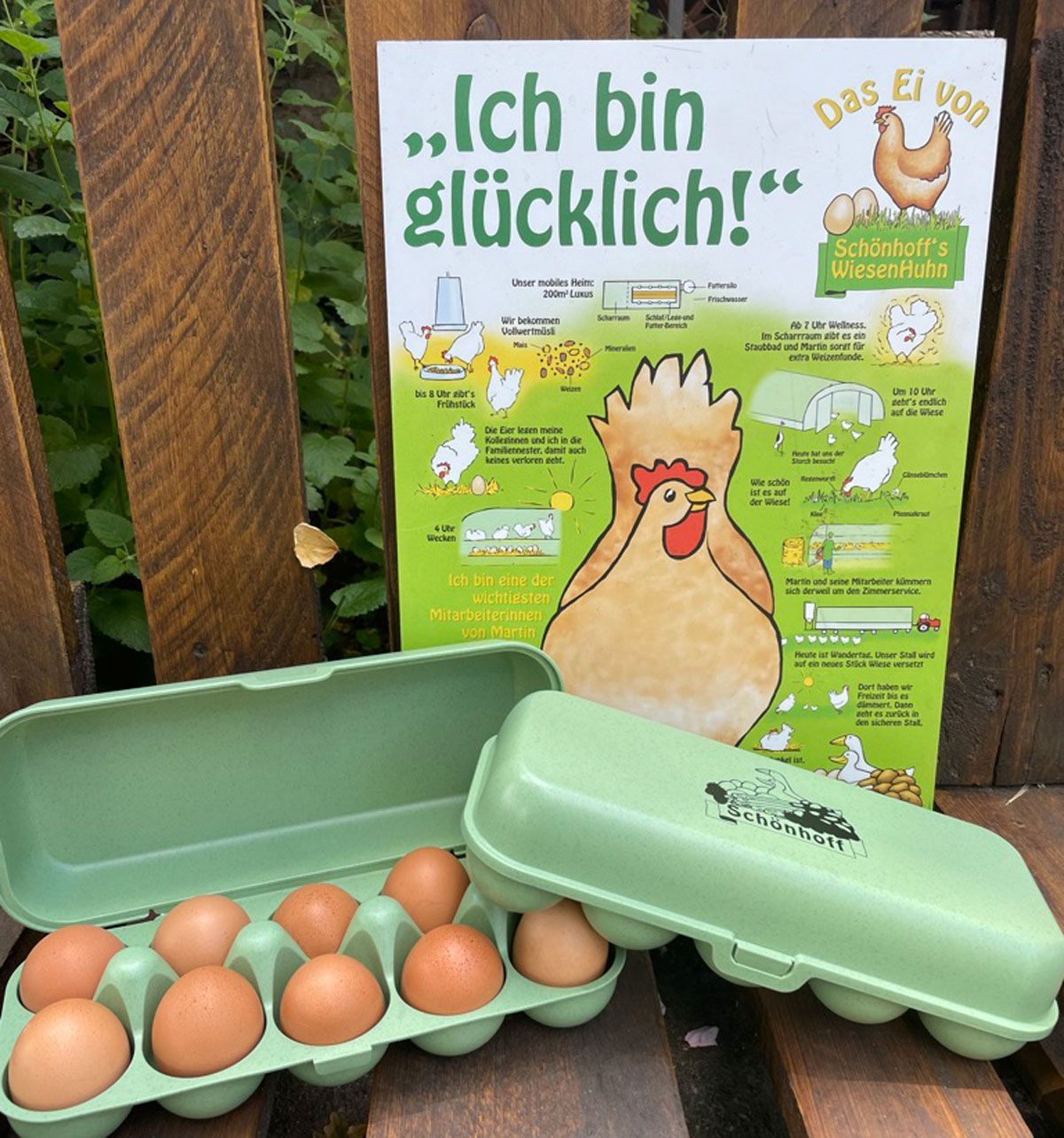 Eier stammen von glücklichen Hühnern in Mobil-Stall-Haltung auf  unseren Wiesen