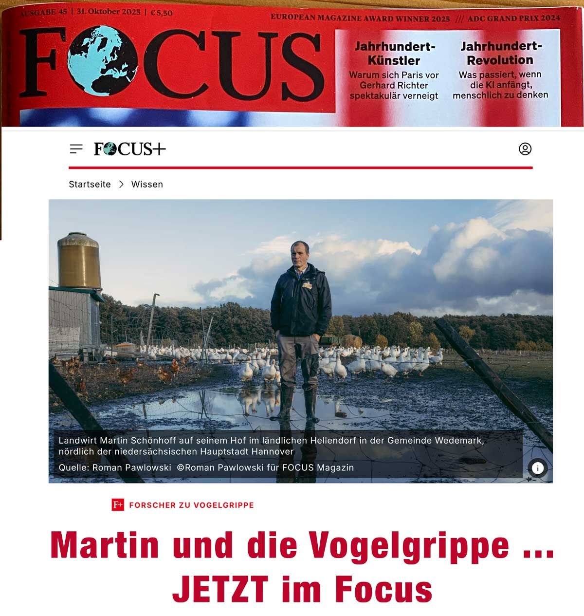 artikel focus vogelgrippe